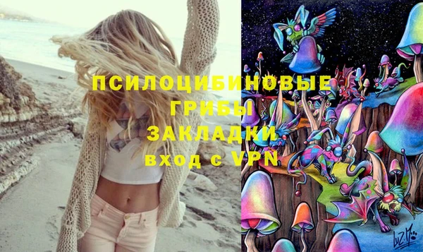 ПСИЛОЦИБИНОВЫЕ ГРИБЫ Аркадак